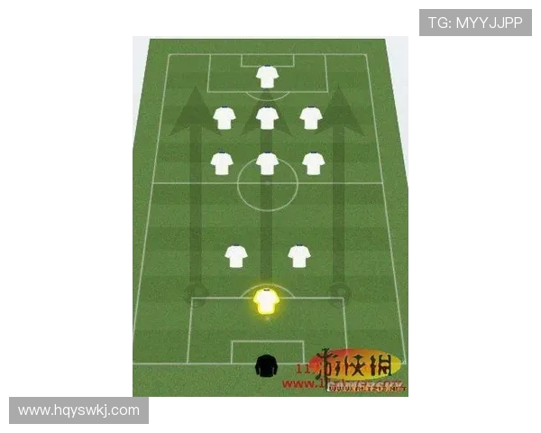 武汉攀岩队区域防守体系的战术分析与实战应用探讨
